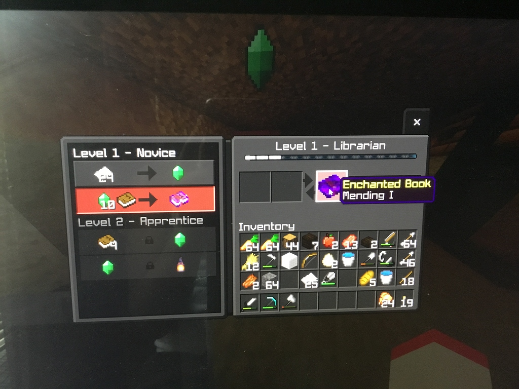 I Got A Villager With Mending Books Off Topic The Hive Forums