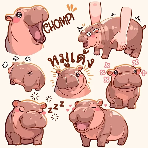 my-moo-deng-obsession-intensifies-v0-b9idphkzf0qd1