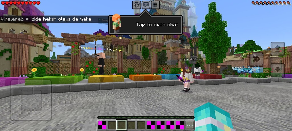 Minecraft Entity Hidden Invisible custom entities and texture glitch - Closed Bug Reports - The ...