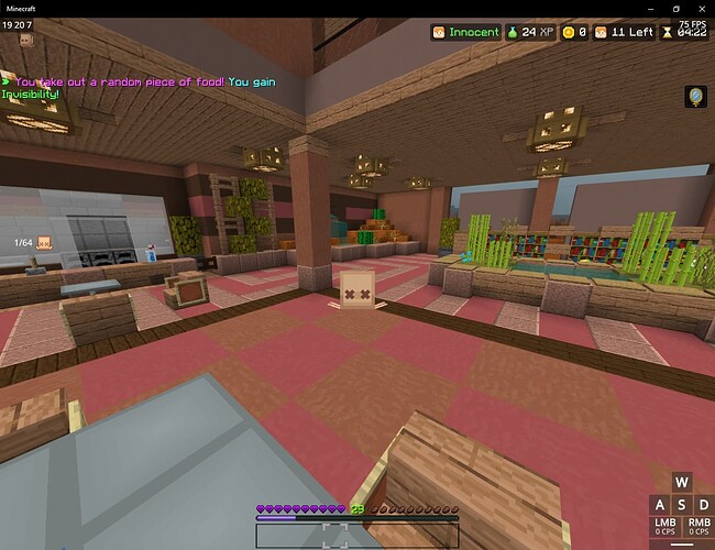 Minecraft 8_4_2023 5_19_47 PM