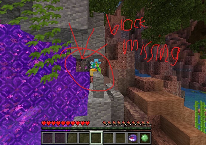 bug report