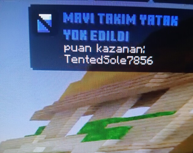 1000034871.jpg