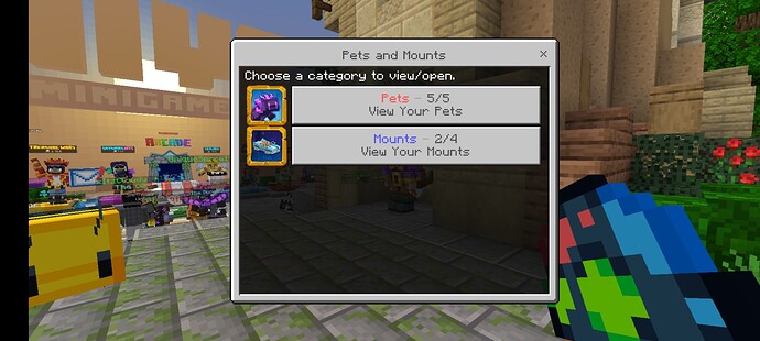Screenshot_20220828-123945_Minecraft