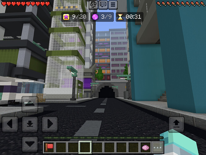IMG_2017
