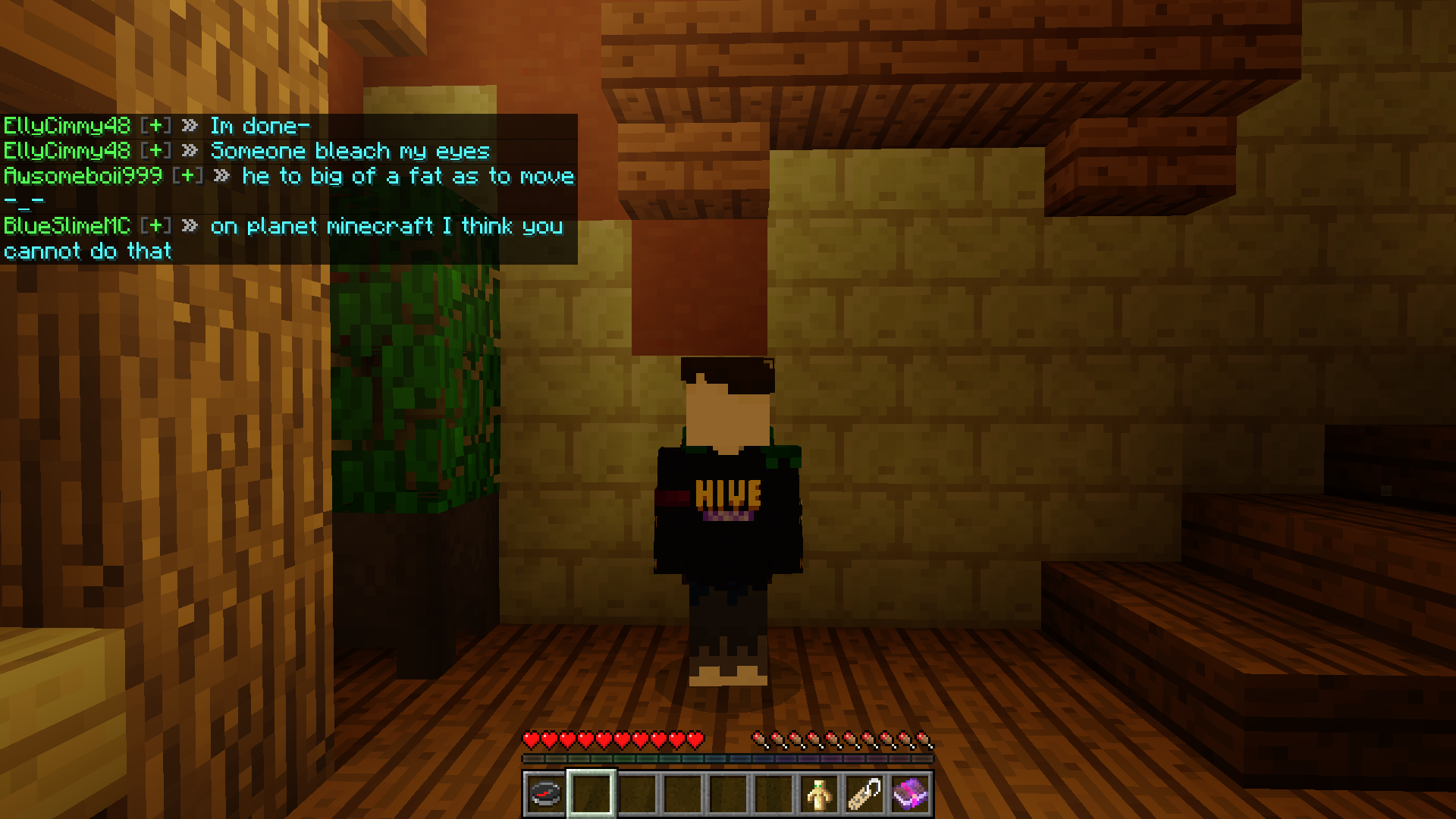 Hive Minigames Hoodie Off Topic The Hive Forums