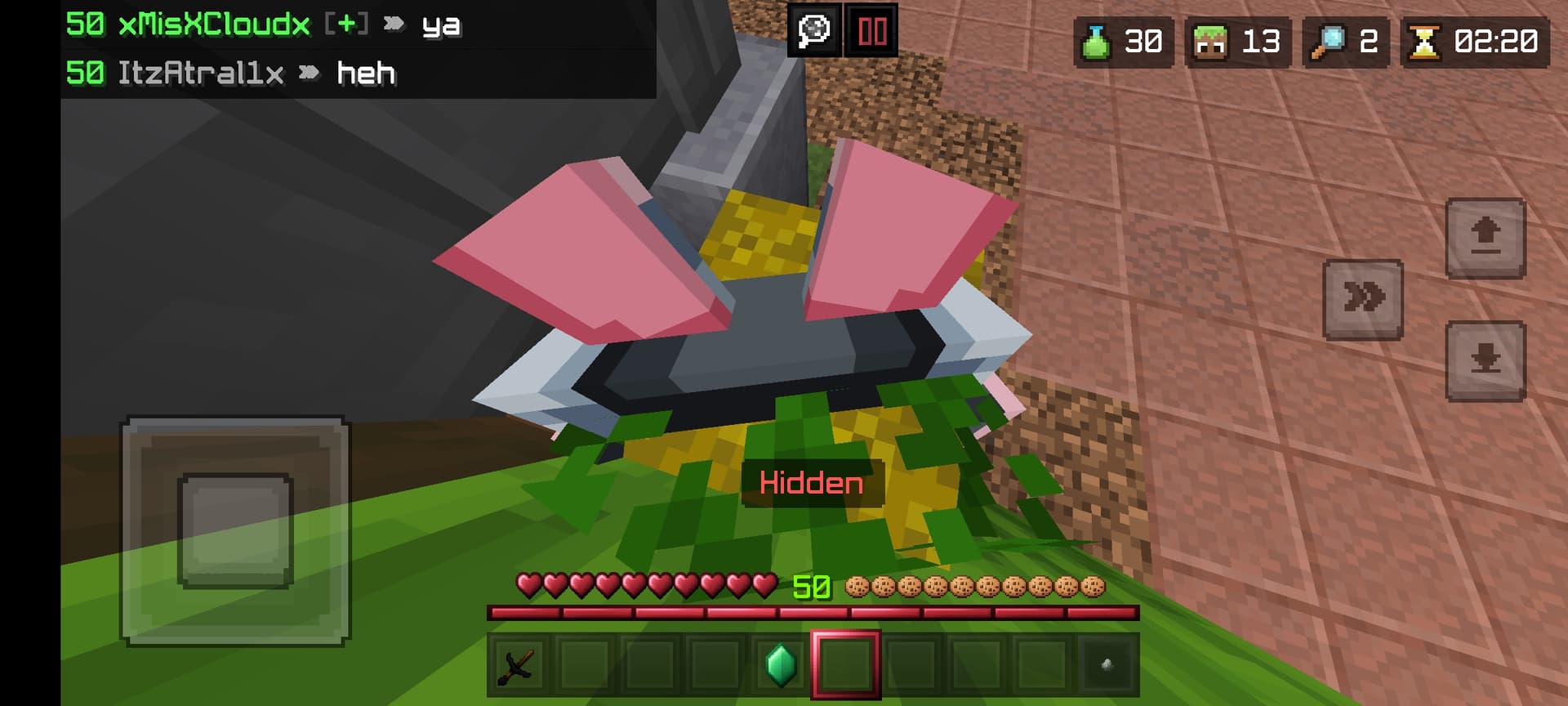 Players NoClipping inside the blocks - Closed Bug Reports - The Hive Forums
