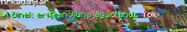 1000016497