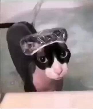 1000022352