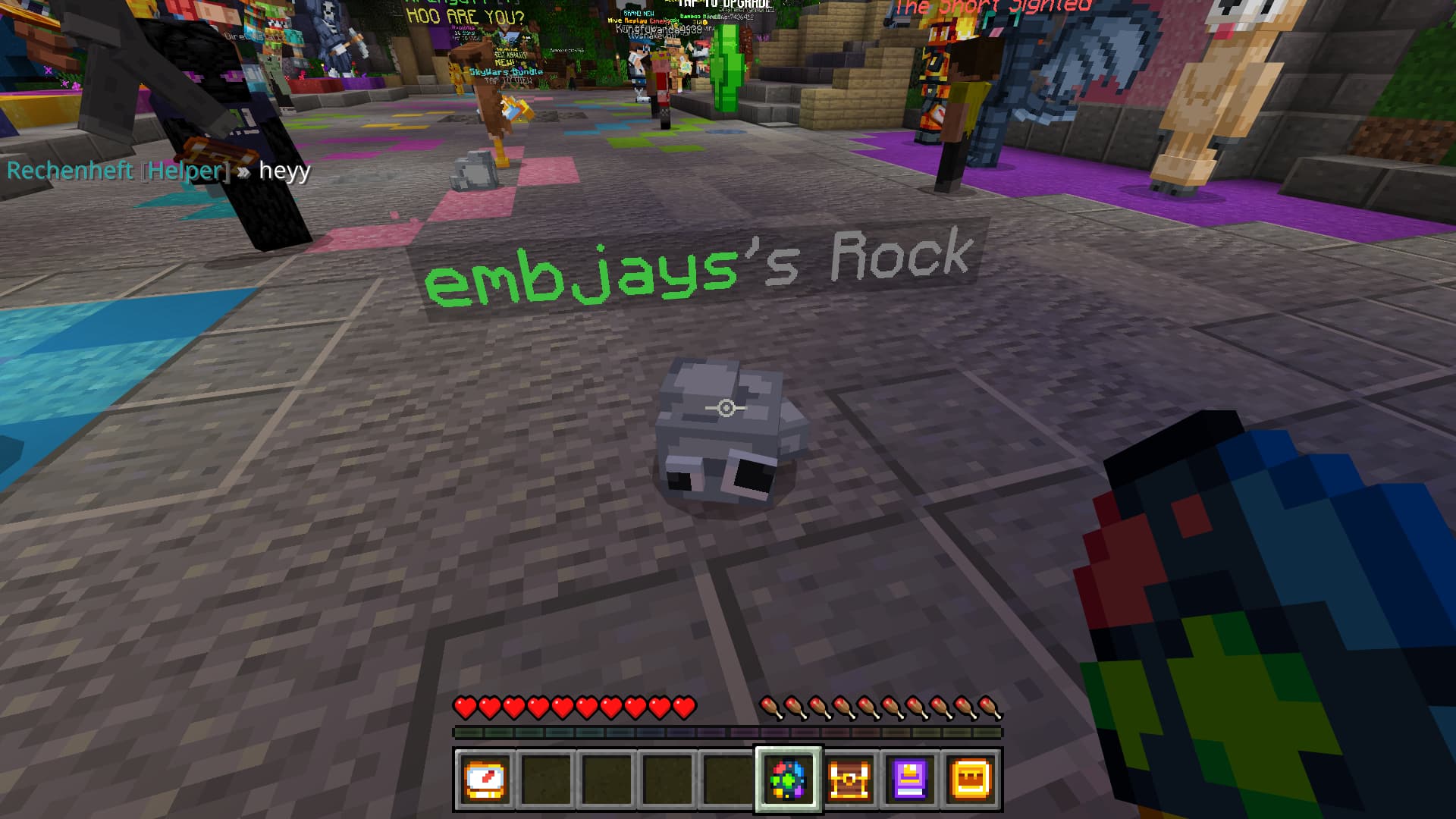 Incorrect grammar on unnamed pets (If Ign ends with s/z) - Closed Bug  Reports - The Hive Forums
