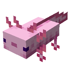 IMG_1413.png