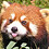 FireFox_onMC FireFox_onMC