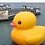FudgeMehDuck