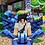 Levis_cosmos