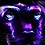 Lucinda_Null